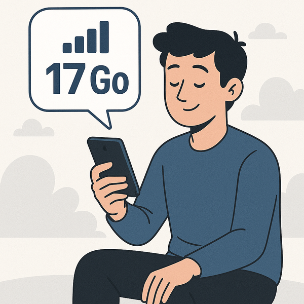 Les Français et leur data mobile : 17 Go par mois, c’est déjà pas mal !